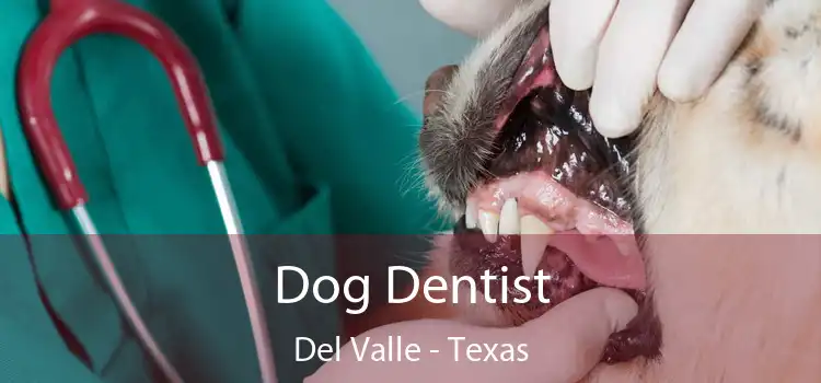 Dog Dentist Del Valle - Texas