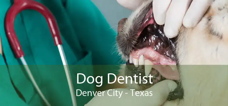Dog Dentist Denver City - Texas