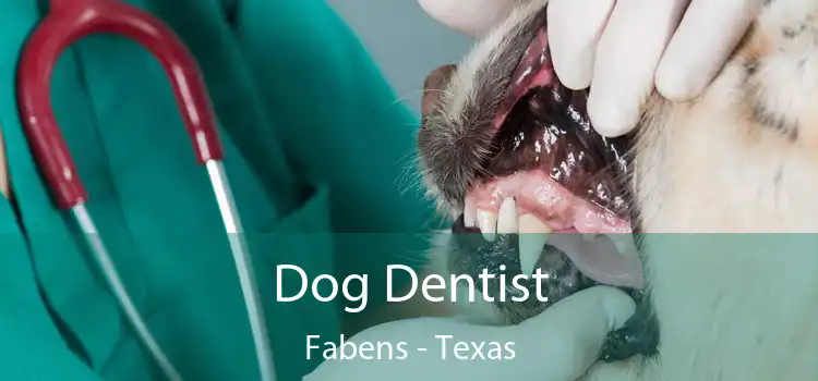 Dog Dentist Fabens - Texas