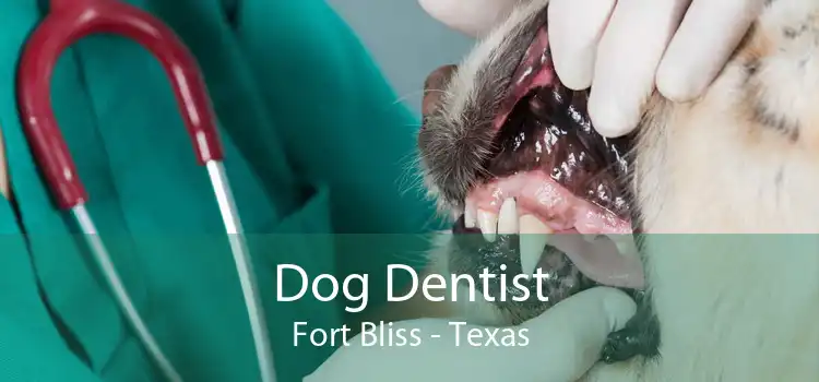 Dog Dentist Fort Bliss - Texas