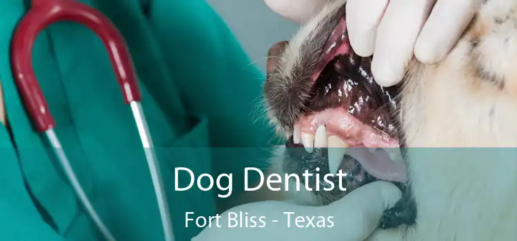 Dog Dentist Fort Bliss - Texas