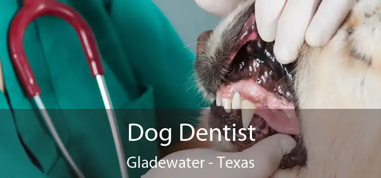 Dog Dentist Gladewater - Texas