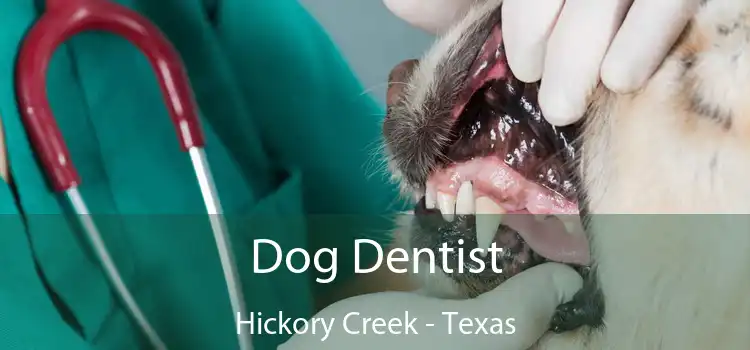 Dog Dentist Hickory Creek - Texas