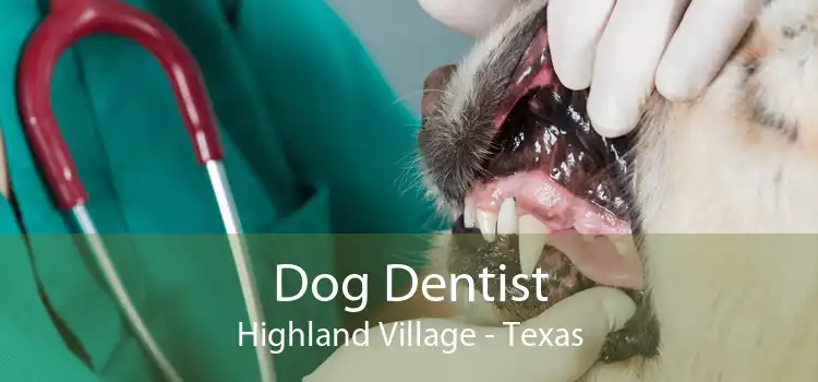 Dog Dentist Highland Village - Texas