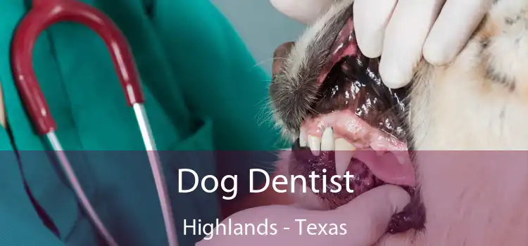 Dog Dentist Highlands - Texas