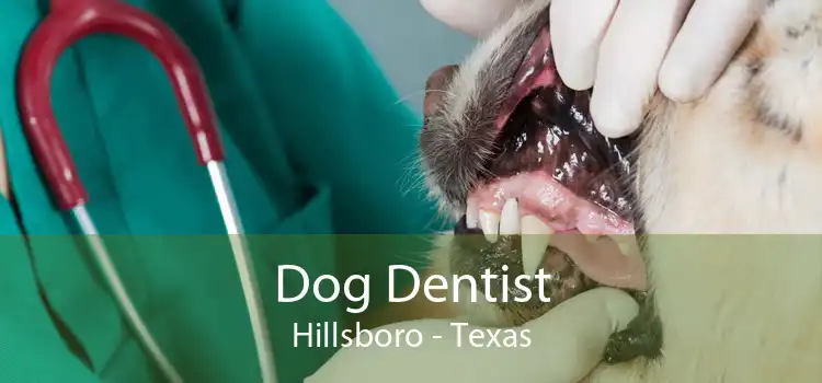 Dog Dentist Hillsboro - Texas