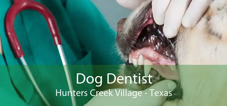 Dog Dentist Hunters Creek Village - Texas