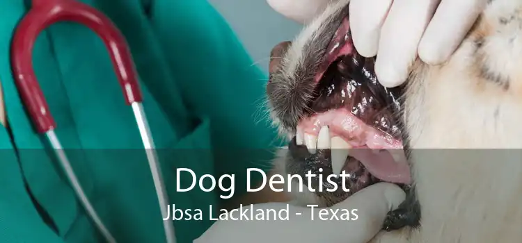Dog Dentist Jbsa Lackland - Texas