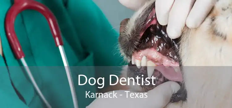 Dog Dentist Karnack - Texas