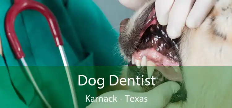 Dog Dentist Karnack - Texas