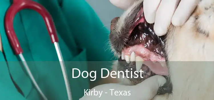 Dog Dentist Kirby - Texas