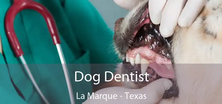 Dog Dentist La Marque - Texas