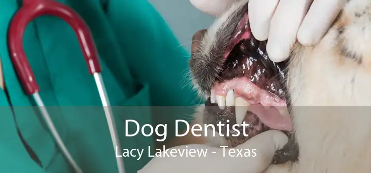 Dog Dentist Lacy Lakeview - Texas