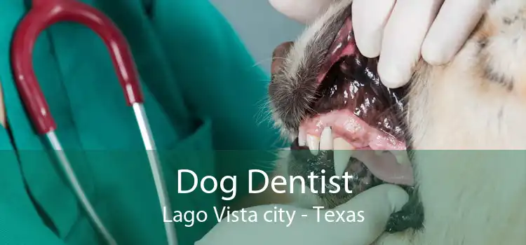 Dog Dentist Lago Vista city - Texas