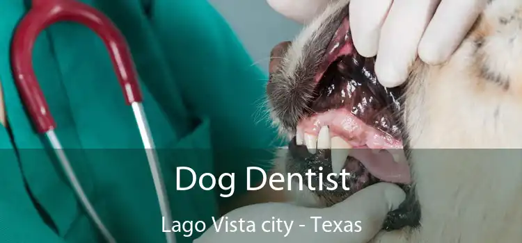 Dog Dentist Lago Vista city - Texas