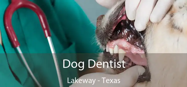 Dog Dentist Lakeway - Texas