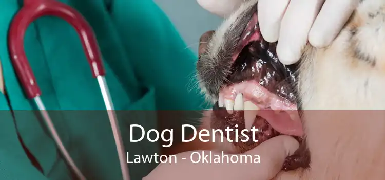 Dog Dentist Lawton - Oklahoma