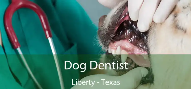 Dog Dentist Liberty - Texas