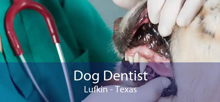 Dog Dentist Lufkin - Texas