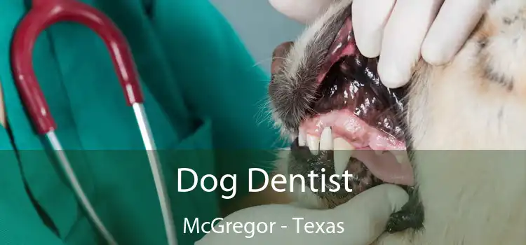 Dog Dentist McGregor - Texas