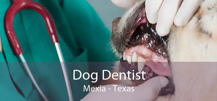 Dog Dentist Mexia - Texas