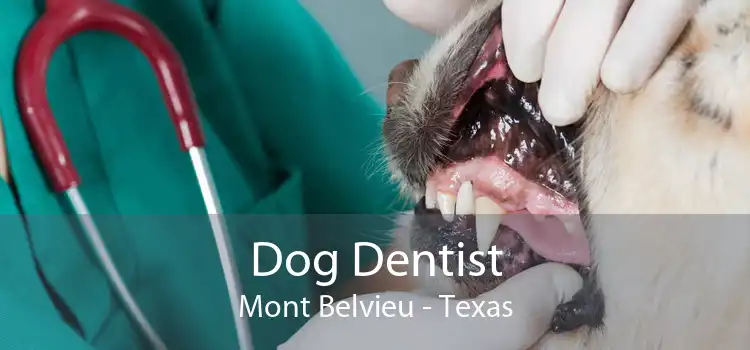 Dog Dentist Mont Belvieu - Texas