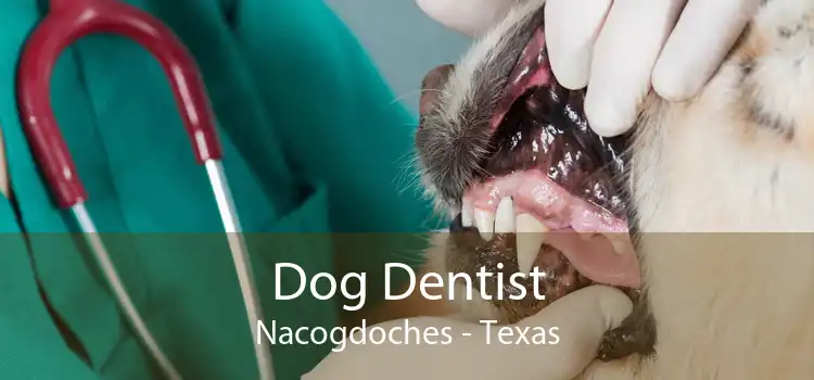 Dog Dentist Nacogdoches - Texas