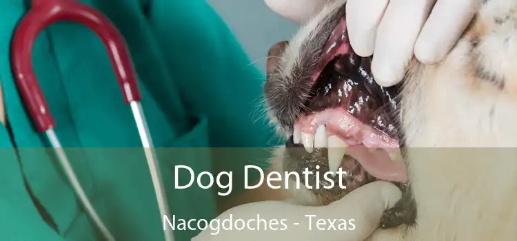 Dog Dentist Nacogdoches - Texas