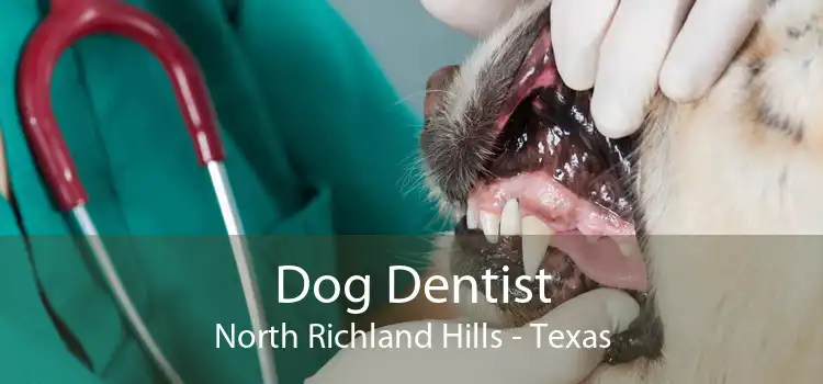 Dog Dentist North Richland Hills - Texas