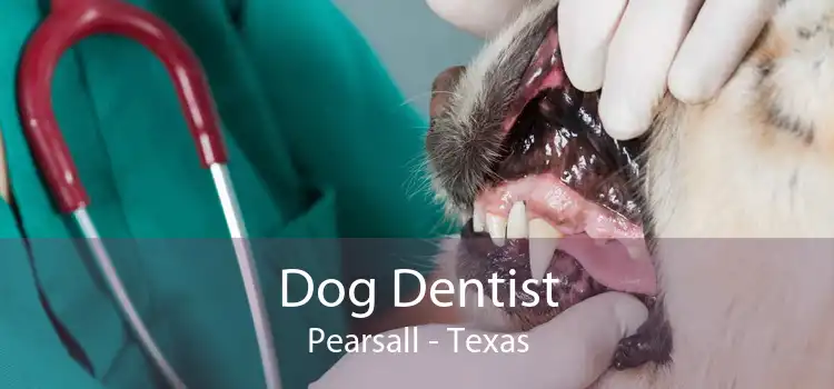 Dog Dentist Pearsall - Texas