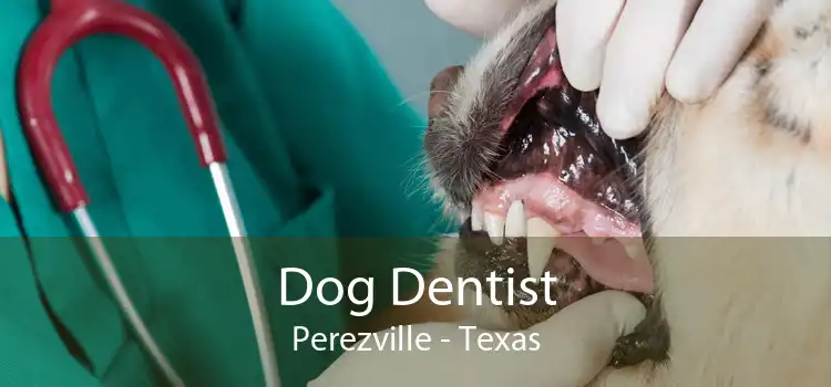 Dog Dentist Perezville - Texas