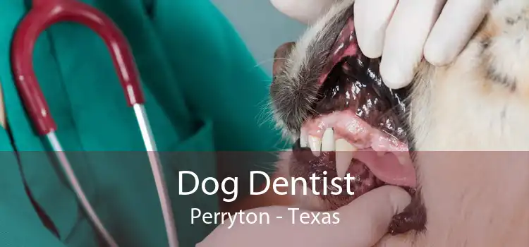 Dog Dentist Perryton - Texas