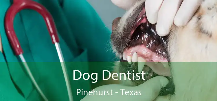 Dog Dentist Pinehurst - Texas