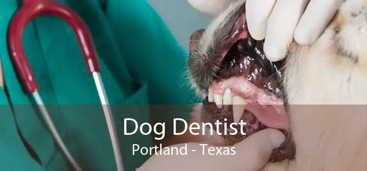 Dog Dentist Portland - Texas