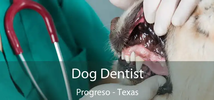 Dog Dentist Progreso - Texas