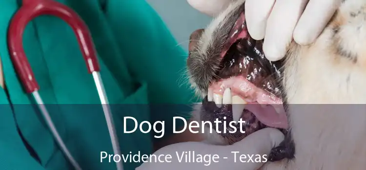 Dog Dentist Providence Village - Texas