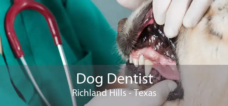 Dog Dentist Richland Hills - Texas