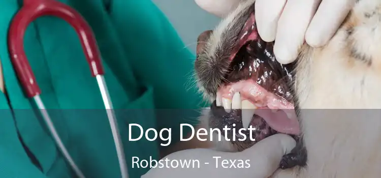 Dog Dentist Robstown - Texas