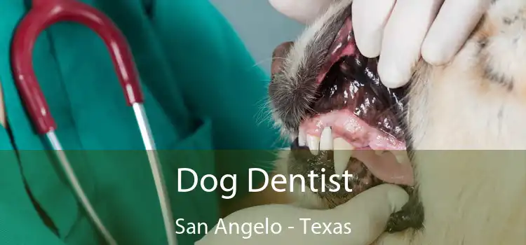 Dog Dentist San Angelo - Texas