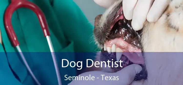Dog Dentist Seminole - Texas