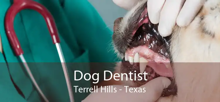 Dog Dentist Terrell Hills - Texas