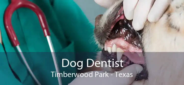 Dog Dentist Timberwood Park - Texas