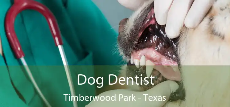 Dog Dentist Timberwood Park - Texas