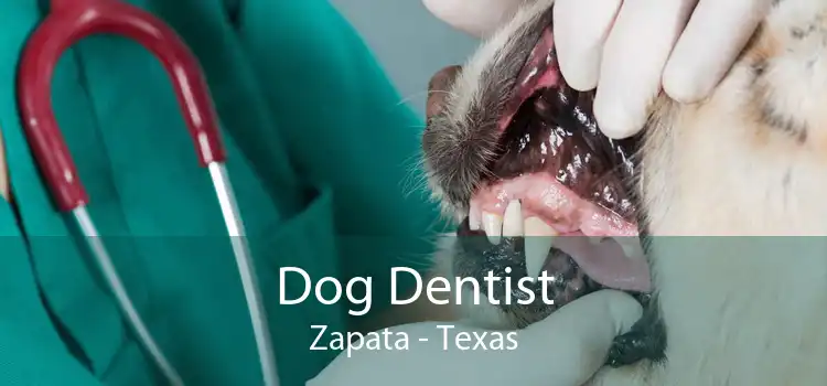 Dog Dentist Zapata - Texas