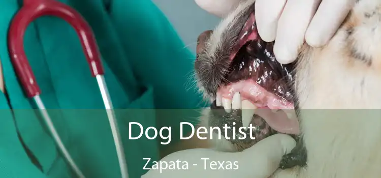 Dog Dentist Zapata - Texas