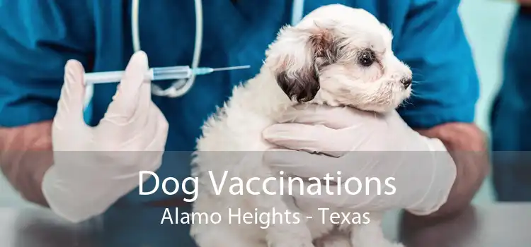 Dog Vaccinations Alamo Heights - Texas