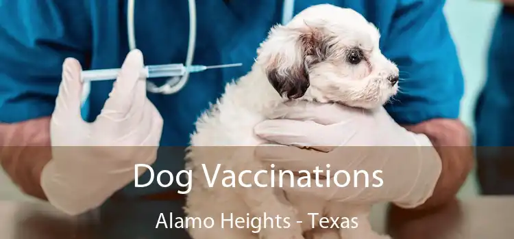 Dog Vaccinations Alamo Heights - Texas