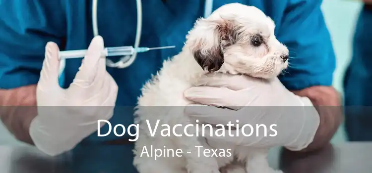 Dog Vaccinations Alpine - Texas