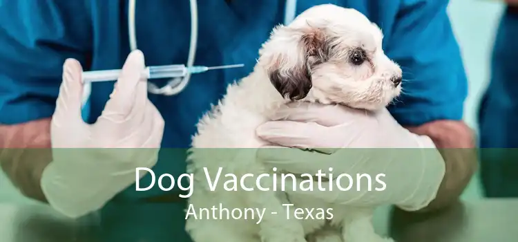 Dog Vaccinations Anthony - Texas