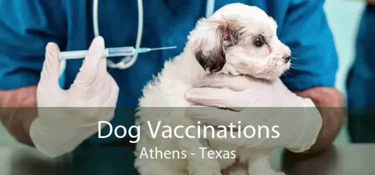 Dog Vaccinations Athens - Texas